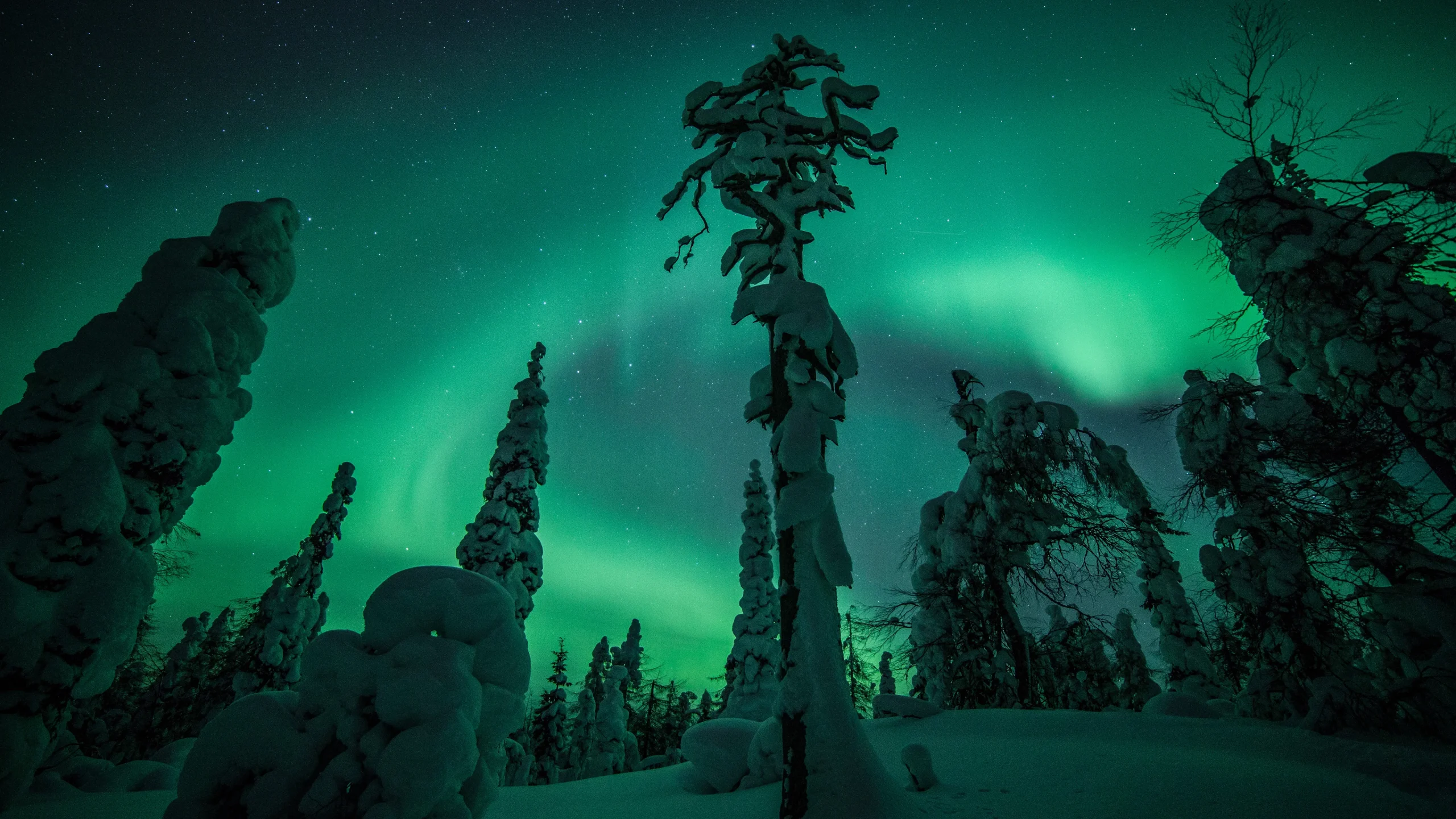 Les aurores Boréales en Laponie 200 jours par an