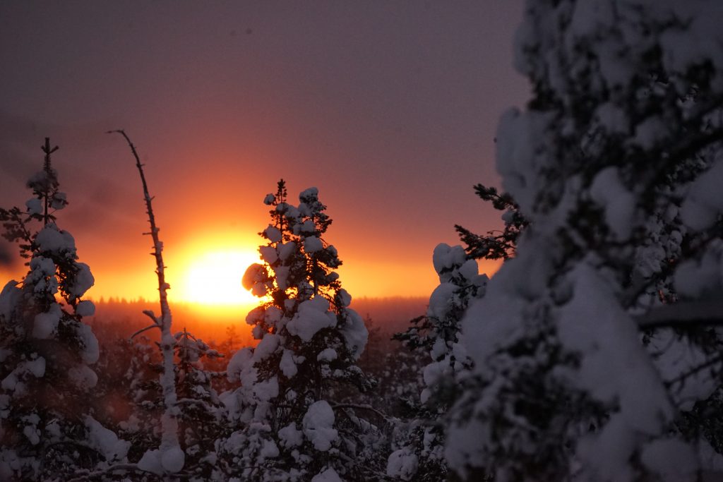 couche de soleil Laponie